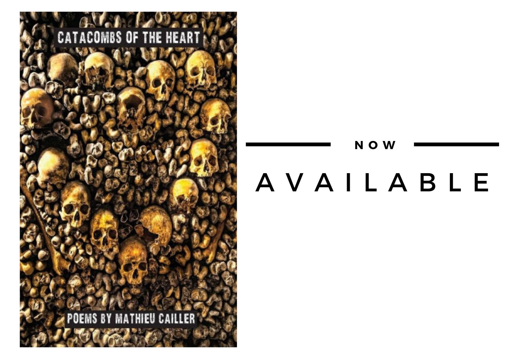 cover of New Release: Catacombs of the Heart by Mathieu Cailler